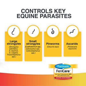 Farnam FenCare Safe-Guard (fenbendazole) 1.96% Type B Medicated Feed Equine Dewormer 5 Ounces