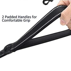 Heavy Duty Dog Leash - 2 Handles by Padded Traffic Handle for Extra Control, 6foot Long - Perfect for Medium to Large Dogs (6 ft, Black)