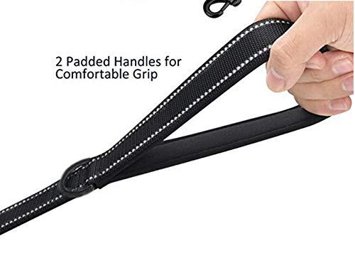 Heavy Duty Dog Leash - 2 Handles by Padded Traffic Handle for Extra Control, 6foot Long - Perfect for Medium to Large Dogs (6 ft, Black)