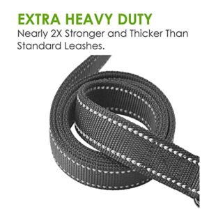 Heavy Duty Dog Leash - 2 Handles by Padded Traffic Handle for Extra Control, 6foot Long - Perfect for Medium to Large Dogs (6 ft, Black)