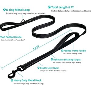 Heavy Duty Dog Leash - 2 Handles by Padded Traffic Handle for Extra Control, 6foot Long - Perfect for Medium to Large Dogs (6 ft, Black)