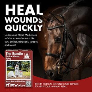 Topical Wound Spray Kit - 16 oz Refill Bottle w/ Baking Powder, Funnel, Spray Trigger, & Shaker - No Sting Antiseptic Spray for Wounds for Faster Healing - Wound Care for Equine and Other Farm Animals