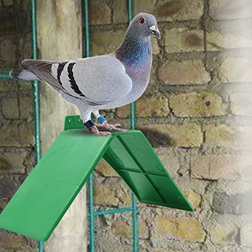 Bird Perch Pigeon Rest Stand 10PCS Plastic Small Green Anti-Skid Design Dove Rest Stand Pigeon Perches Roost Frame Bird Supplies,6.69x6.69x3.94inch