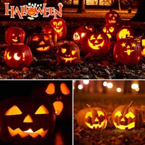 AnNido Halloween Pumpkin Carving Kit, 11 Pieces Professional Pumpkin Cutting Supplies Tools with 12 Pumpkin LED Candles, Stainless Steel Jack-O-Lanter Carving Knife Set for Halloween Decoration