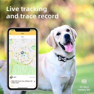 PETBIZ G20 GPS Pet Tracker, 30 Days Battery Life, IPX7 Waterproof Light Weight Compact GPS Tracker for Cat and Dog (Ice camo)