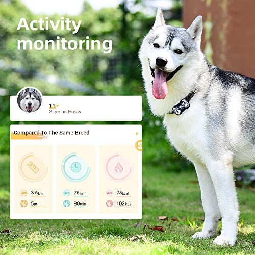 PETBIZ G20 GPS Pet Tracker, 30 Days Battery Life, IPX7 Waterproof Light Weight Compact GPS Tracker for Cat and Dog (Ice camo)