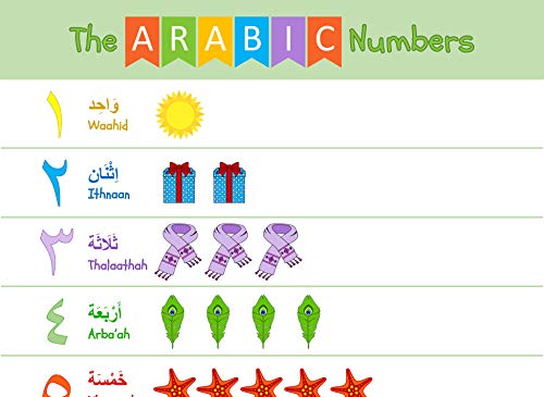 Akross Kultures Laminated Arabic Alphabet Poster - With Numbers - for Kids - Classrooms - Set of Two - 13" x 19" - Alif to Yaa Illustrations