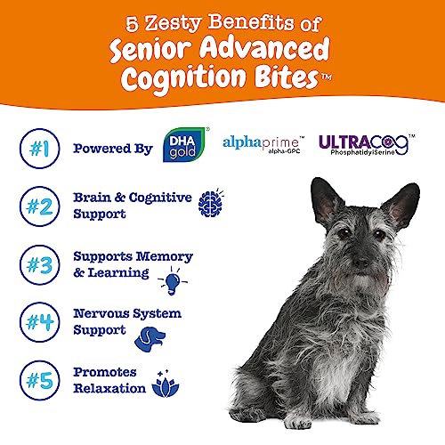 Zesty Paws Advanced Cognition Soft Chews for Dogs - with Omega 3 DHA, Ashwagandha & Alpha GPC - for Senior Dog Brain Health & Nervous System Support - Supplement for Calming & Relaxation - 90 Count