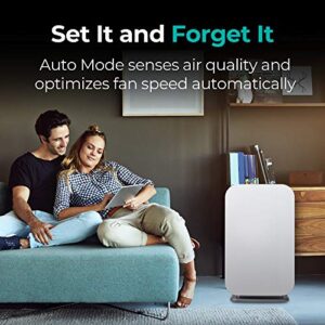 Alen BreatheSmart 45i HEPA Air Purifier With VOC/Smoke Filter, Absorbs Heavy VOCs from Cigarette and Wildfire Smoke. Captures Allergens, Dust, and Mold. Bedrooms, and other rooms up to 800 sq. ft.