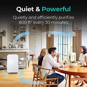 Alen BreatheSmart 45i HEPA Air Purifier With VOC/Smoke Filter, Absorbs Heavy VOCs from Cigarette and Wildfire Smoke. Captures Allergens, Dust, and Mold. Bedrooms, and other rooms up to 800 sq. ft.