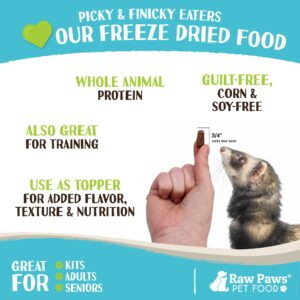 Raw Paws Freeze Dried Raw Ferret Food, Beef 16-oz - Made in USA - Premium, Grain Free Ferret Diet for Small, Adult, Senior & Baby Ferrets - Also use as Natural Ferret Treats for Rewarding & Training