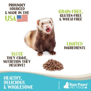 Raw Paws Freeze Dried Raw Ferret Food, Beef 16-oz - Made in USA - Premium, Grain Free Ferret Diet for Small, Adult, Senior & Baby Ferrets - Also use as Natural Ferret Treats for Rewarding & Training