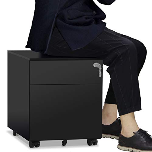 HAIAOJIA 2 Drawer Mobile File Cabinet with Lock Metal Filing Cabinet for Legal/Letter/A4/F4 Size, Fully Assembled Include Wheels, Home/Office Design, Black