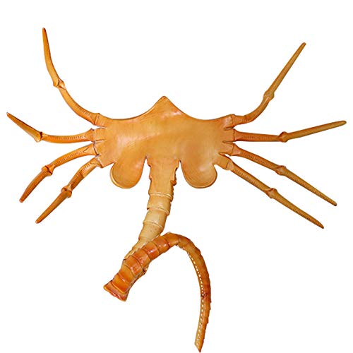 Kuberas Alien Facehugger Mask Creepy Face Hugger Halloween Costume Prop Scary Claws Insect Gold