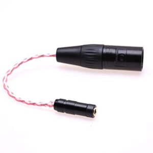 GAGACOCC Audio Adapter 4-pin XLR Male to 2.5mm Female TRRS Balanced Hi-end Silver Plated Cable Audio Adapter for Astell&Kern AK120II AK240 AK380 AK320 onkyo DP-X1 DP-X1A FIIO X5III XDP-300R