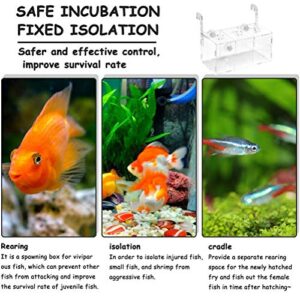 ATPWONZ Fish Breeding Box, Acrylic Fish Isolation Box Aquarium Hatchery Incubator with Suction Cups for Newborn Fry Shrimp Guppy Clownfish Aggressive Fish, 11.5" x 6" x 6"