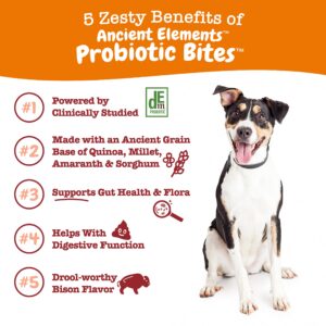 Zesty Paws Probiotics for Dogs - Digestive Enzymes for Gut Flora, Digestive Health, Diarrhea & Bowel Support - Clinically Studied DE111 - Dog Supplement Soft Chew for Pet Immune System - AE, 90 Count