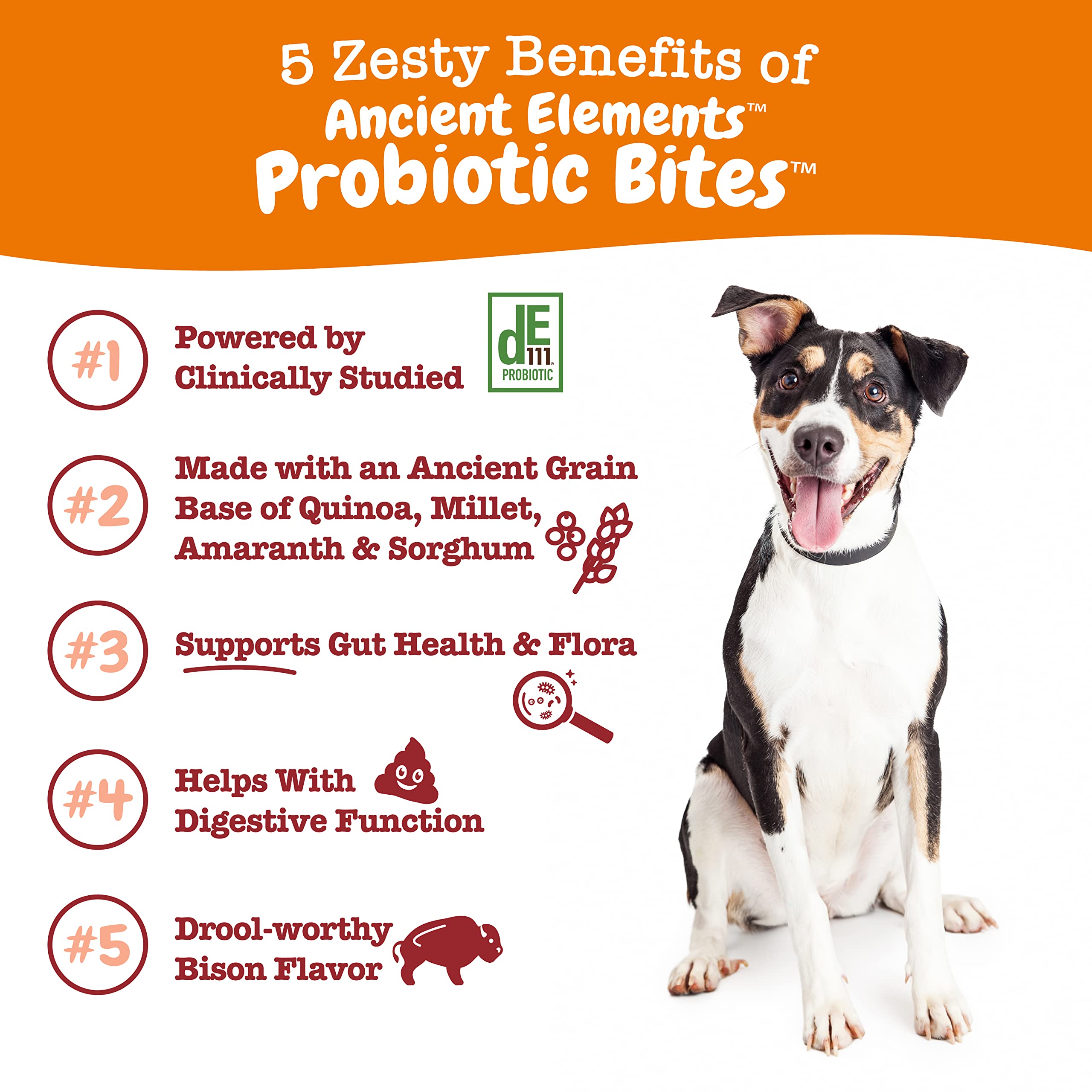 Zesty Paws Probiotics for Dogs - Digestive Enzymes for Gut Flora, Digestive Health, Diarrhea & Bowel Support - Clinically Studied DE111 - Dog Supplement Soft Chew for Pet Immune System - AE, 90 Count