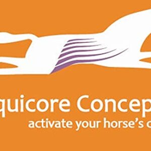 Equiband Equicore Concepts Complete System, Large Size, Oversize Horse