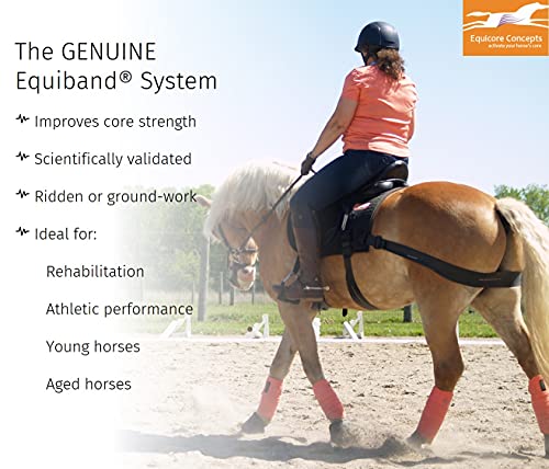 Equiband Equicore Concepts Complete System, Large Size, Oversize Horse