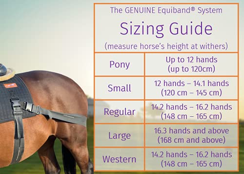 Equiband Equicore Concepts Complete System, Large Size, Oversize Horse