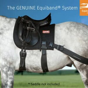 Equiband Equicore Concepts Complete System, Large Size, Oversize Horse