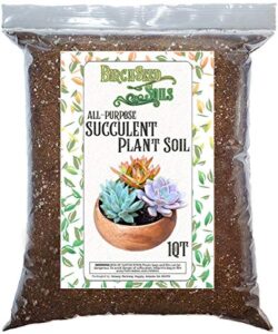 succulent plant soil, natural all-purpose cactus, aloe vera, and succulent potting soil, 1 quart sized bag, premium fast draining mix