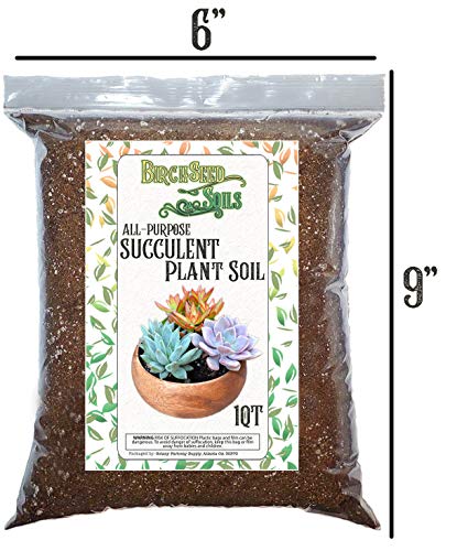 Succulent Plant Soil, Natural All-Purpose Cactus, Aloe Vera, and Succulent Potting Soil, 1 Quart Sized Bag, Premium Fast Draining Mix