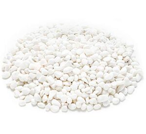wuweot 6-lb white decorative bean pebbles, 0.2" natural gravel rocks for plants, succulents, vases, aquariums and terrariums