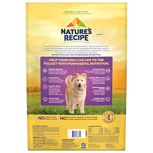 Nature’s Recipe Original Dry Dog Food for Adult Dogs, Lamb & Rice Recipe, 12 lb Bag