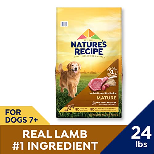 Nature′s Recipe Dry Dog Food, Mature Lamb & Brown Rice Recipe, 24 lb. Bag