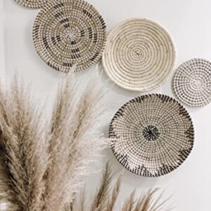 TheNamiCollection Five Seagrass Baskets Set | Hanging, Decorative, Boho Styled Perfect For Trendy, All Natural Home Wall Decor | Handmade, Round, Woven