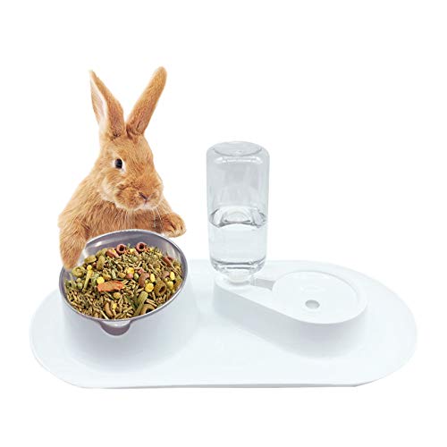 Tfwadmx Rabbit Double Bowls Bunny Automatic Water Dispenser Detachable Plastic Bottle Adjustable Titled Neck Protection Food Feeder for Chinchilla Cat Puppy Squirrel and Other Small Animals