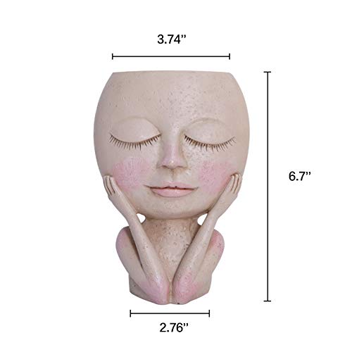 AIMEBBY Face Flower Pot Head Planter Pot Succulent Planter Cute Resin Cactus Planter with Drainage Hole Closed Eyes