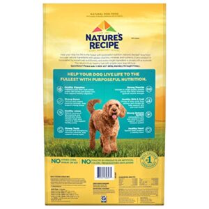 Nature’s Recipe Easy to Digest Dry Dog Food, Chicken, Rice & Barley Recipe, 24 Pound Bag