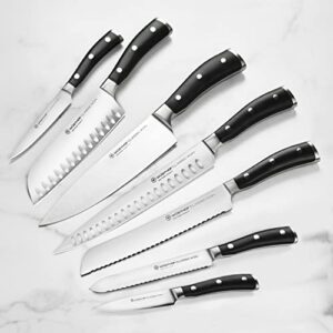 Wusthof Classic Ikon 10 Piece Knife Set with Acacia Block