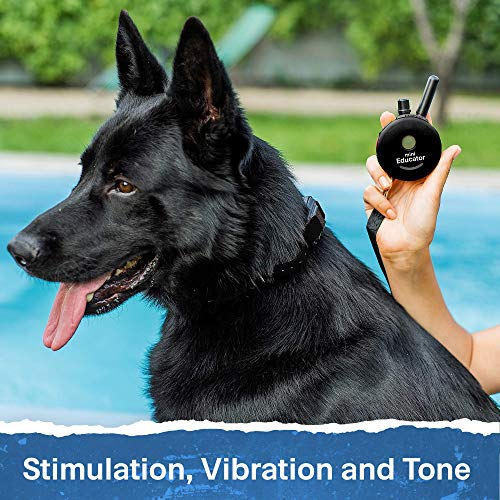 Educator - ET-300 Black - Ecollar Dog Training Collar with Remote Control - 1/2 Mile Range, Waterproof, Rechargeable, 100 Training Stimulation Levels, Vibration and Tone W/PetsTEK Training Clicker