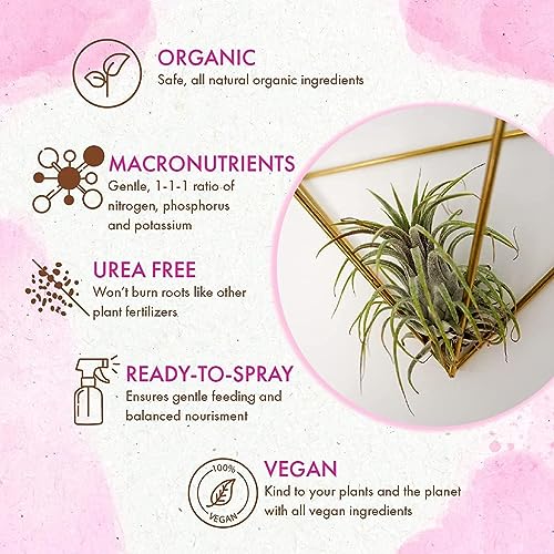 Organic Ready to Spray Air Plant Food - Fertilizer Mist for Weekly Use - Best for Live Tillandisa, Bromeliads, and Other Common Air Plants (8 oz)