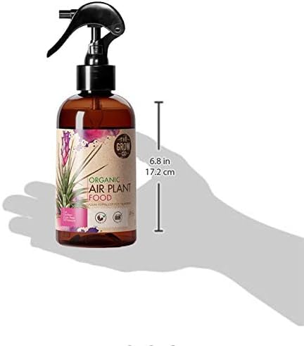 Organic Ready to Spray Air Plant Food - Fertilizer Mist for Weekly Use - Best for Live Tillandisa, Bromeliads, and Other Common Air Plants (8 oz)