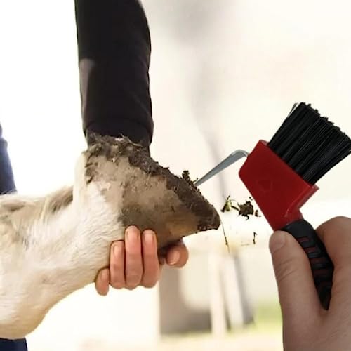 Horse Hoof Pick Brush with Soft Touch Rubber Handle,Portable Hoofpick(Random Colors 2 Pieces)