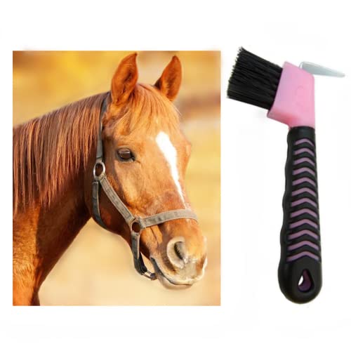 Horse Hoof Pick Brush with Soft Touch Rubber Handle,Portable Hoofpick(Random Colors 2 Pieces)