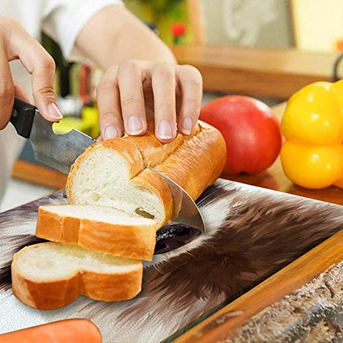 Tempered Glass Cutting Board Raccoon Tableware Kitchen Decorative Cutting Board with Non-slip Legs, Serving Board, Large Size, 15" x 11"