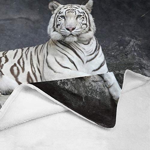 CUXWEOT Personalized Blanket with Name Custom Cool Tiger Soft Fleece Throw Blanket for Bed Sofa (50 X 60 inches)