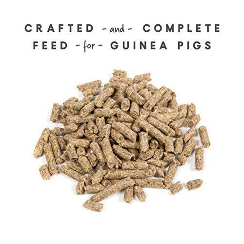 Manna Pro Guinea Pig Feed | with Vitamin C | Complete Feed for Guinea Pigs | No Artificial Colors or Flavors | 5 lb