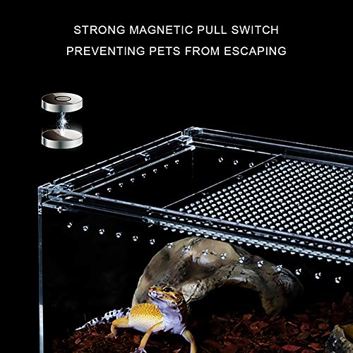 REMASIKO Magnetic Acrylic Case, 12" x 8" x 6" Enclosure Flat Long Reptile Breeding Box Terrarium Cage for Scorpion Sling Isopods Lizards Invertebrates Insects Mantis