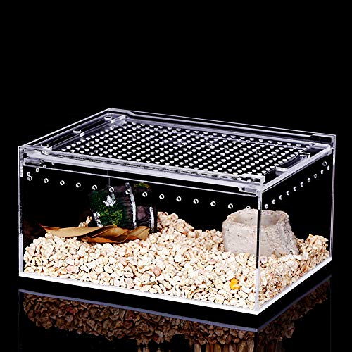 REMASIKO Magnetic Acrylic Case, 12" x 8" x 6" Enclosure Flat Long Reptile Breeding Box Terrarium Cage for Scorpion Sling Isopods Lizards Invertebrates Insects Mantis