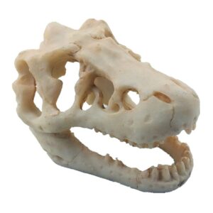 mtghyare dinosaur aquarium decorations skull aquarium ornament mini dinosaur mold decoration tank reptile hide decor with holes aquarium landscape reptile betta fish hideout caves