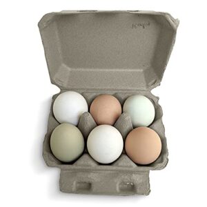 Half Dozen Egg Cartons- Henlay Blank Flat Top Six Pack (100)