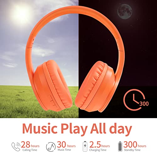 LOBKIN Wireless Bluetooth Headphones, Over-Ear Headphones with Built-in HD Mic,40H Playtime, Foldable Wireless and Wired Stereo Headphones for Gym/PC/Home