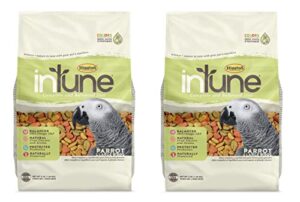 higgins 2 pack of intune complete and balanced diet parrot food, 3 pounds each